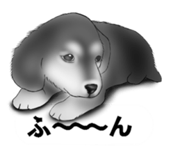 Monochrome dogs. sticker #4348023