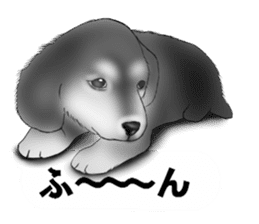 Monochrome dogs. sticker #4348023