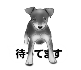 Monochrome dogs. sticker #4348026