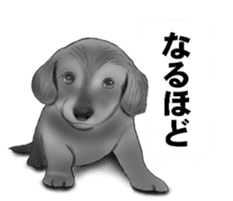Monochrome dogs. sticker #4348043