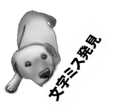 Monochrome dogs. sticker #4348055