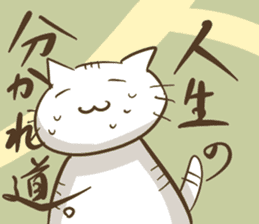 A philosophical cat sticker #4349020