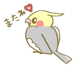 Cockateel friends sticker #4350199