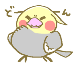 Cockateel friends sticker #4350213