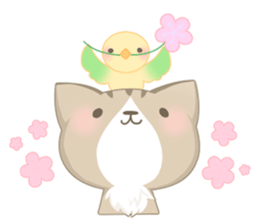 [Healing]Cats and birds. sticker #4350293