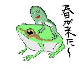 A word of the frog boy sticker #4353032