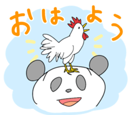 Panda's daily talks sticker #4353840