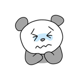 Panda's daily talks sticker #4353874