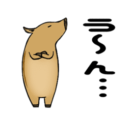 It is called an Uribou in Japanese sticker #4355006