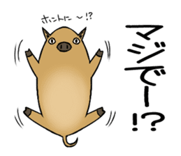 It is called an Uribou in Japanese sticker #4355014