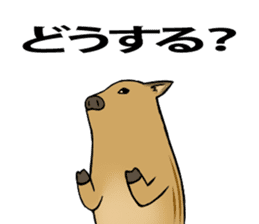 It is called an Uribou in Japanese sticker #4355020