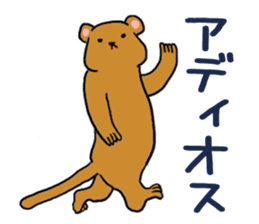 Forest Of A Mongoose By Usagi Group