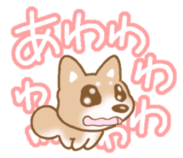 Sticker of the Shiba inu sticker #4358648