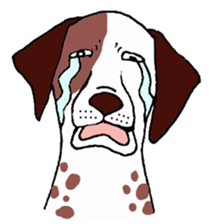 A cat and, besides, animal sticker sticker #4362610