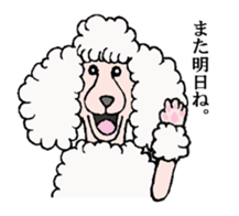 A cat and, besides, animal sticker sticker #4362622