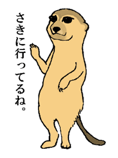 A cat and, besides, animal sticker sticker #4362625