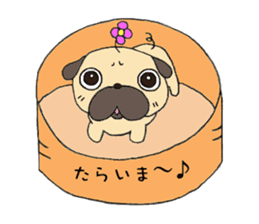 Sweetie Pug Kotaro sticker #4366152