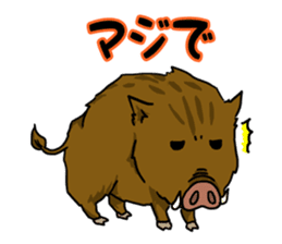 wild boar's every day sticker #4366826