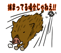 wild boar's every day sticker #4366831