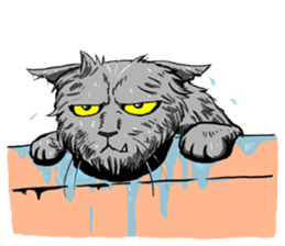 Moong The Korat Cat sticker #4367355