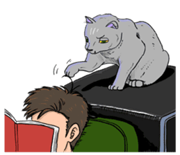 Moong The Korat Cat sticker #4367357