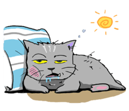 Moong The Korat Cat sticker #4367366