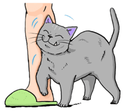 Moong The Korat Cat sticker #4367383