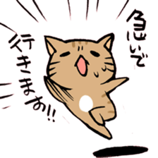 A little Message cat sticker #4367665