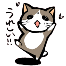 A little Message cat sticker #4367666