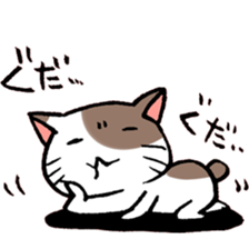 A little Message cat sticker #4367673