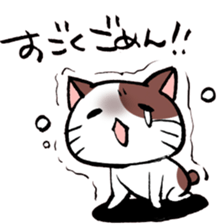 A little Message cat sticker #4367683