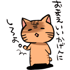 A little Message cat sticker #4367695