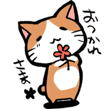 A little Message cat sticker #4367699