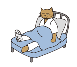 Karate neko"Gon" sticker #4369091