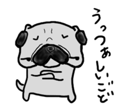 pug sticker  ver.fukushima sticker #4371363