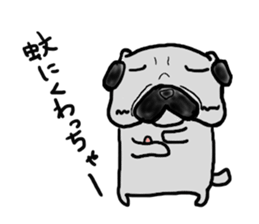 pug sticker  ver.fukushima sticker #4371366