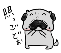pug sticker  ver.fukushima sticker #4371376