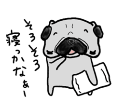 pug sticker  ver.fukushima sticker #4371380