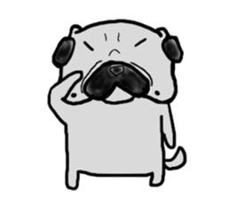 pug sticker  ver.fukushima sticker #4371381