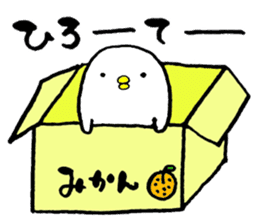 Piyokichi of chick sticker #4376938