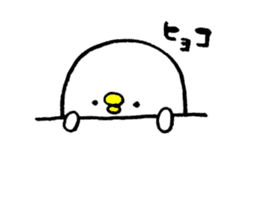 Piyokichi of chick sticker #4376943