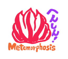 So cute ! JAPANESE PANCAKE DEVILFISH!! 2 sticker #4377161