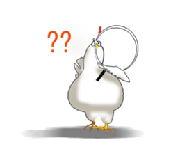 aho chicken sticker #4377678