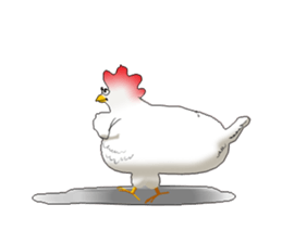 aho chicken sticker #4377688