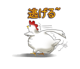 aho chicken sticker #4377696