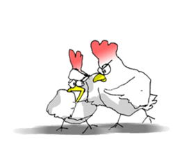 aho chicken sticker #4377700