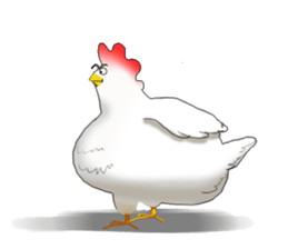 aho chicken sticker #4377702