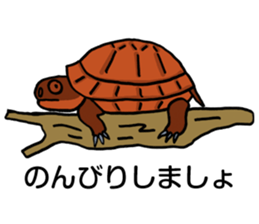 Let's do it. sticker #4378465