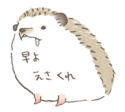 Hedgehog, my name Fu-kun. Part 2 sticker #4379337