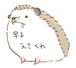 Hedgehog, my name Fu-kun. Part 2 sticker #4379337
